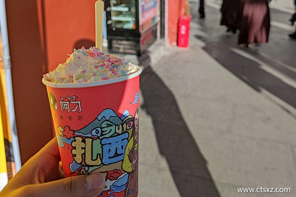 西藏旅游花費